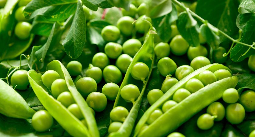 Cyvex Nutrition Partners with SloIron Inc. to Distribute Plant-Based Ferritin Iron